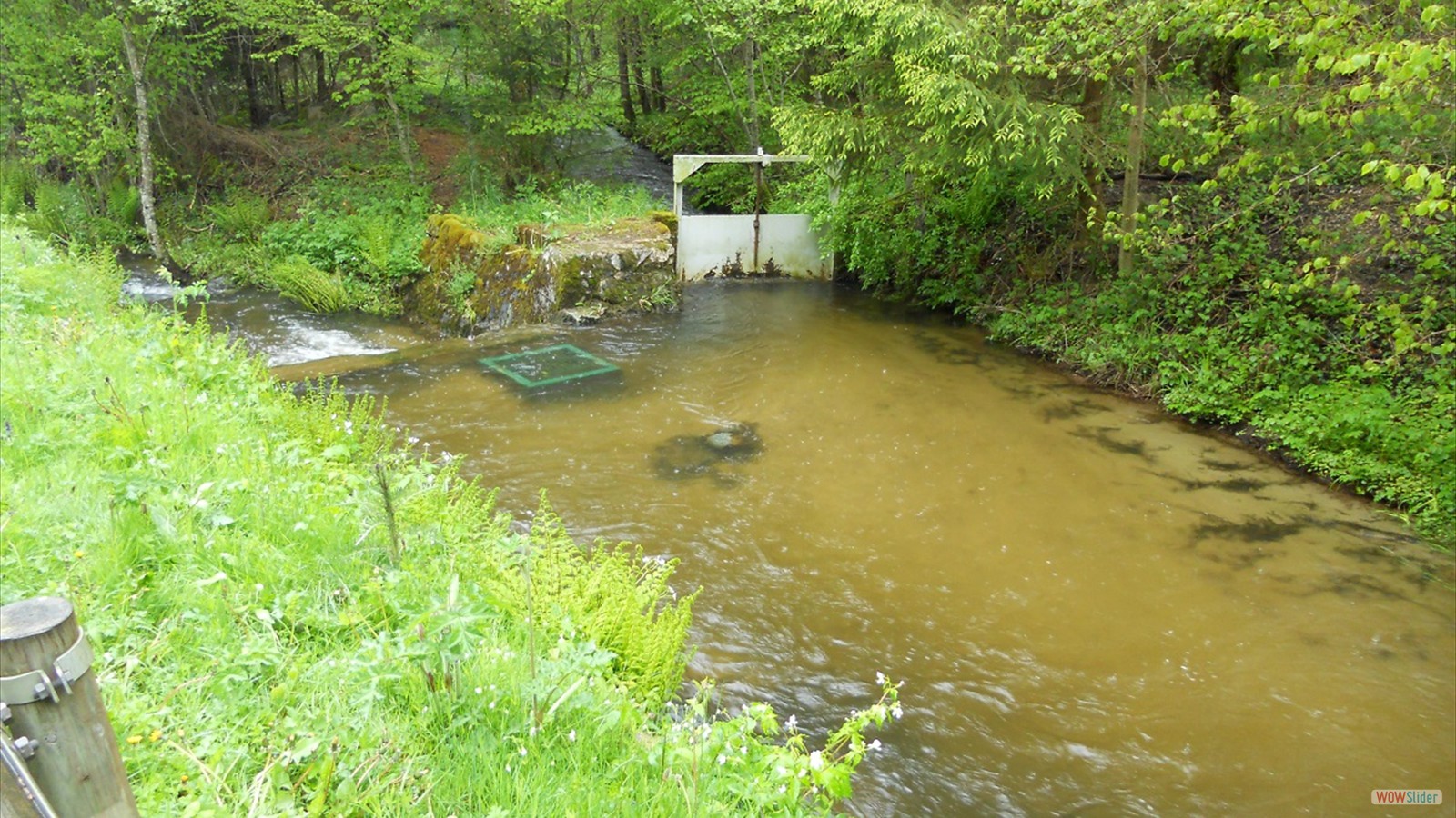 Ruisseau de la Motte 02